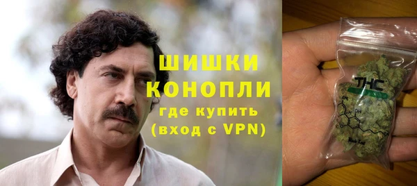 индика Балахна