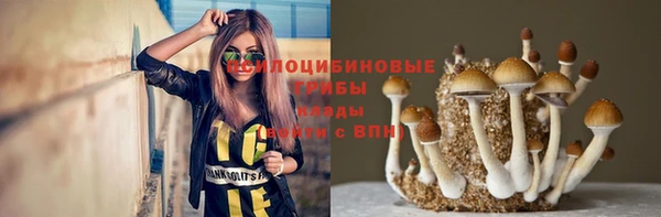 индика Балахна