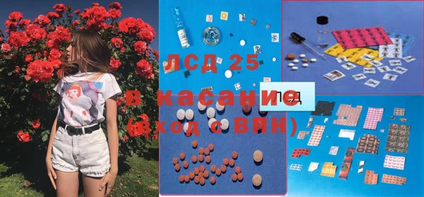индика Балахна