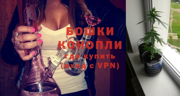 стафф Беломорск