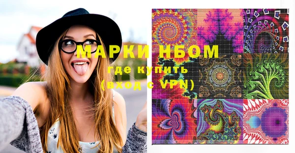 индика Балахна