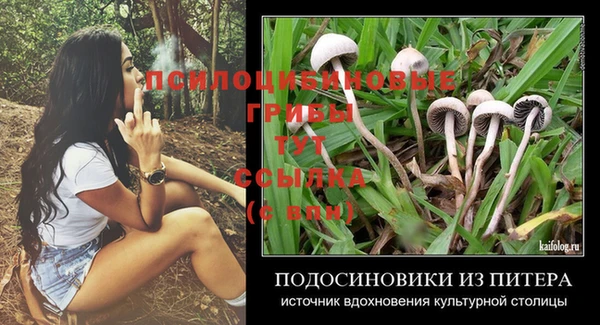 стафф Беломорск