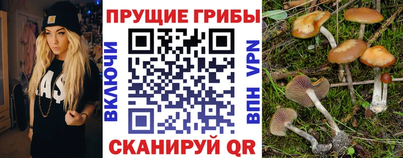 купить закладку  даркнет официальный сайт  Галлюциногенные грибы мицелий  Великие Луки 